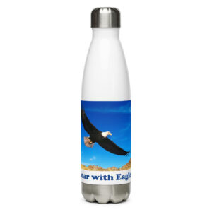 Stainless steel water bottle